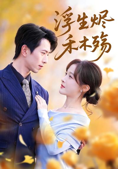 浮生烬，禾木殇