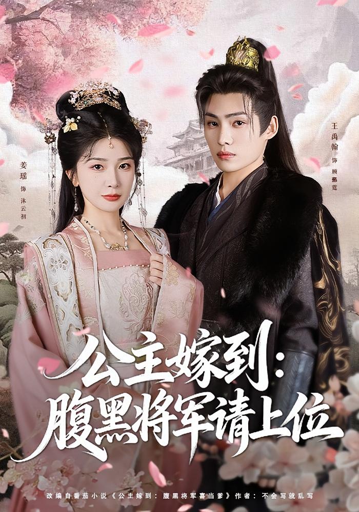 公主嫁到：腹黑将军请上位