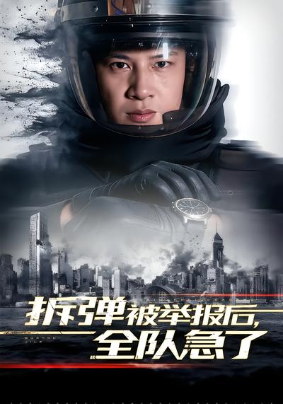 拆弹被举报后，全队急了 - 在线观看