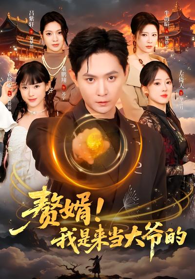 赘婿！我是来当大爷的 - 在线观看