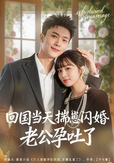 回国当天揣崽闪婚，老公孕吐了