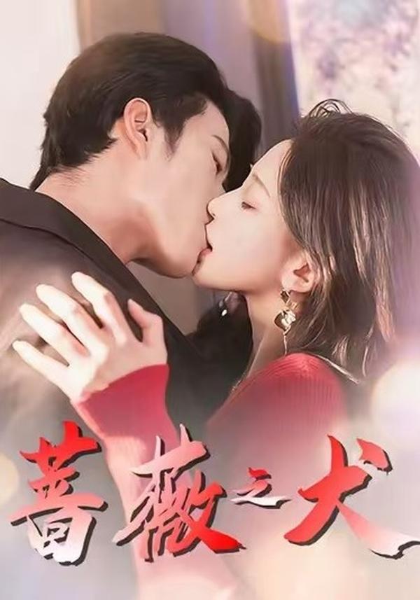 短剧蔷薇之犬海报