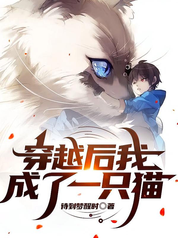 穿越后我成了一只猫