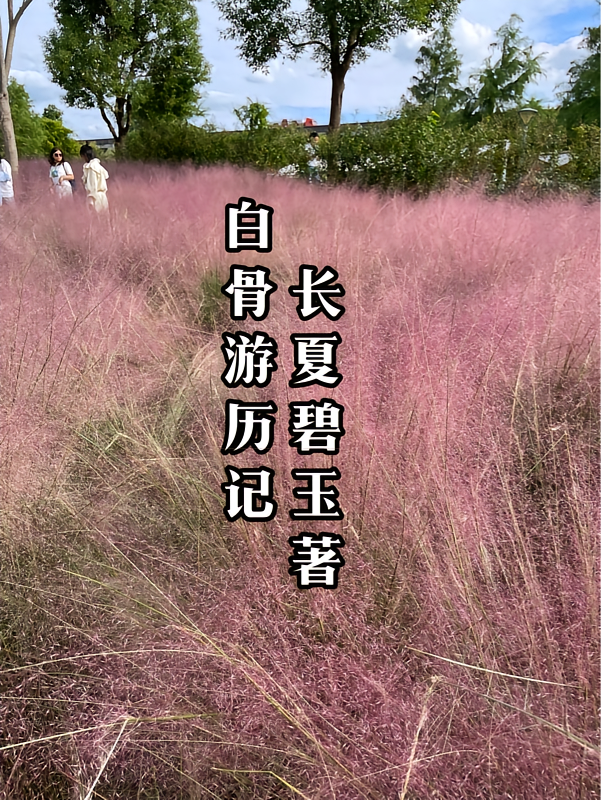 白骨游历记