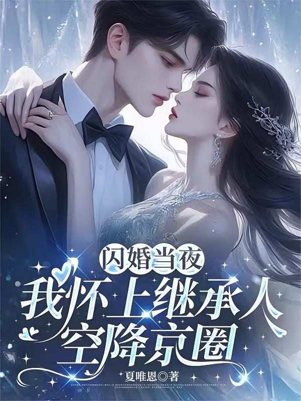 闪婚当夜，我怀上继承人空降京圈