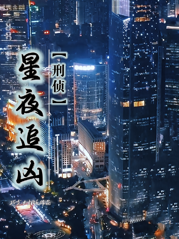 星夜追凶【刑侦】