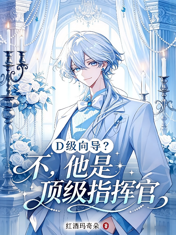 D级向导？不，他是顶级指挥官
