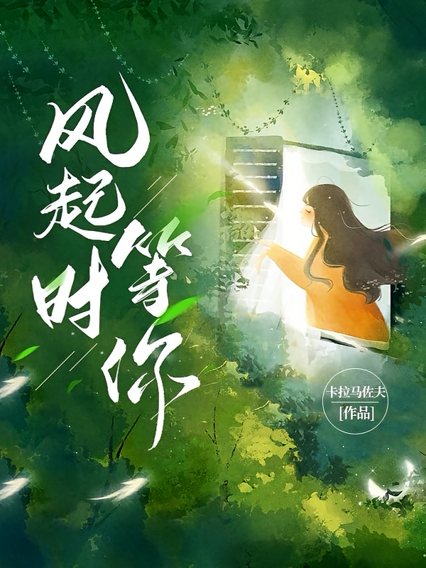 风起时等你
