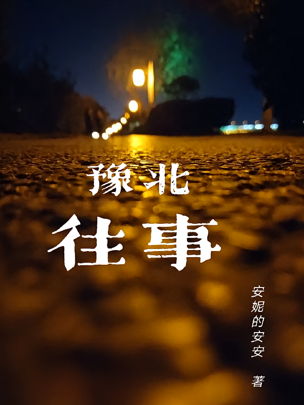 豫北往事