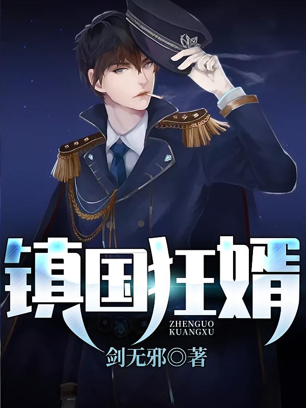 镇国狂婿