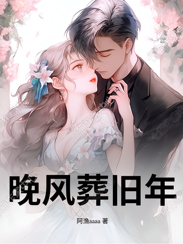晚风葬旧年