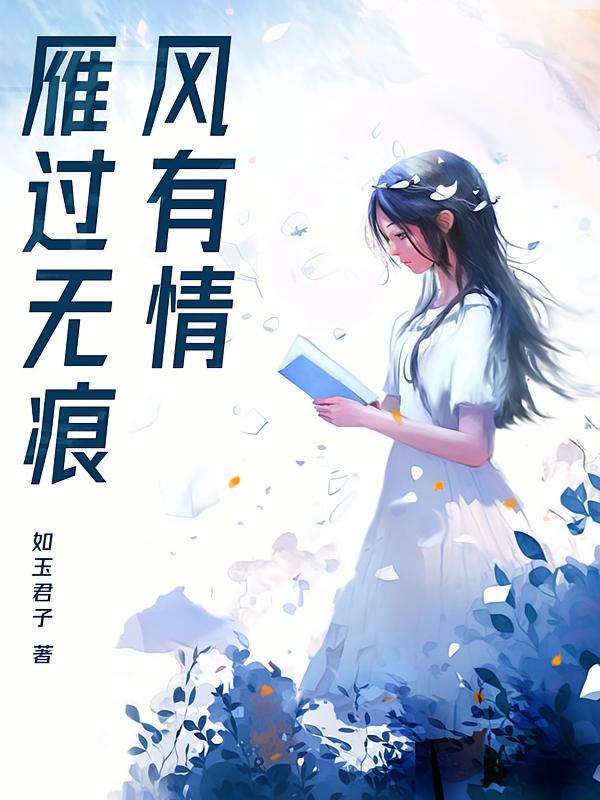 雁过无痕风有情