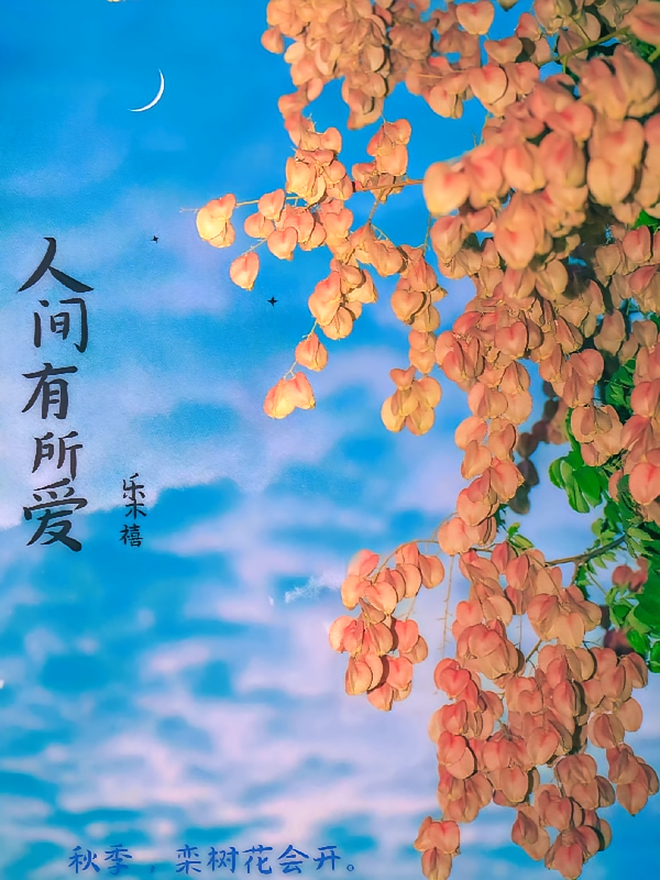 人间有所爱