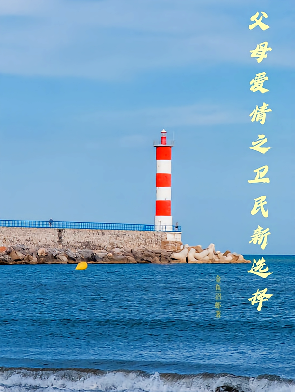 父母爱情之卫民新选择