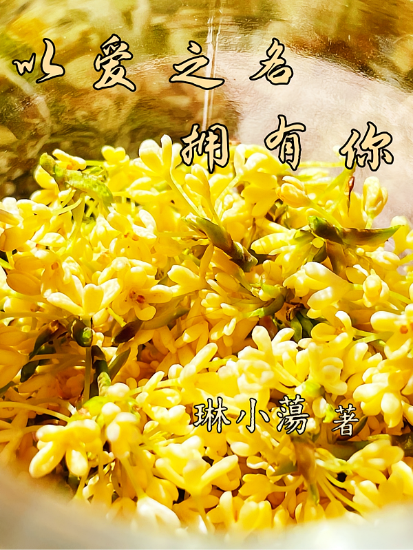 以爱之名拥有你