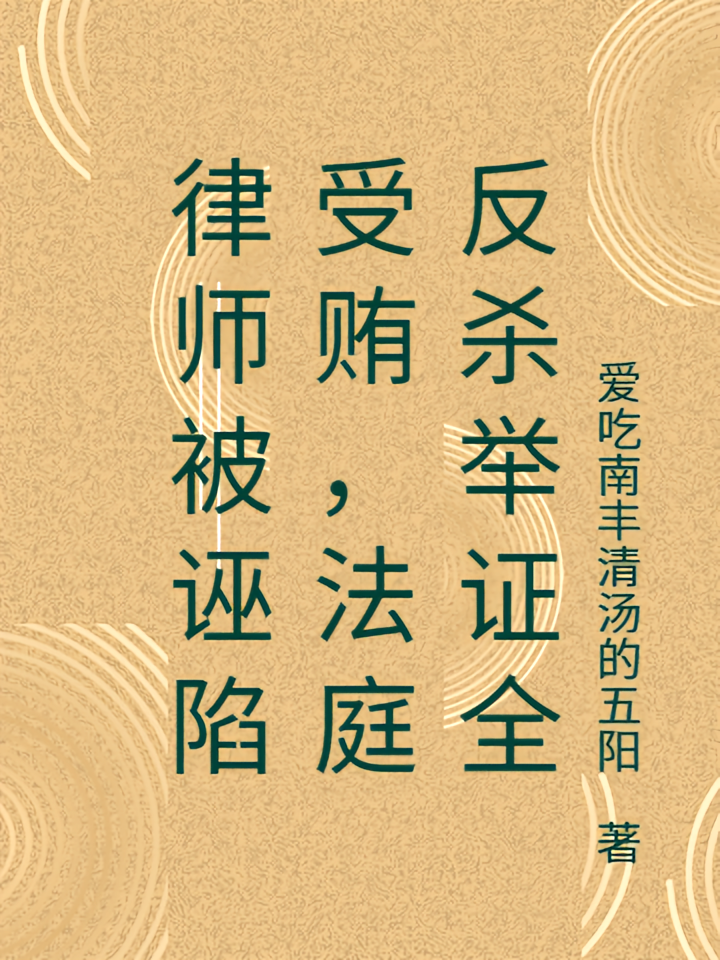 律师被诬陷受贿，法庭反杀举证全