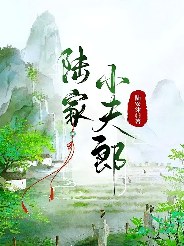 陆家小夫郎