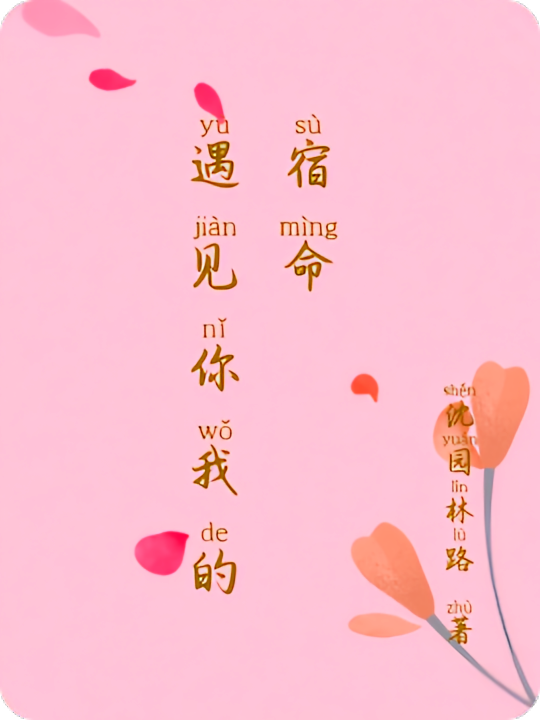 遇见你我的宿命
