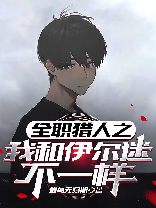 全职猎人之我和伊尔迷不一样