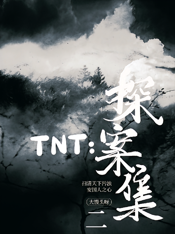 TNT：探案集二