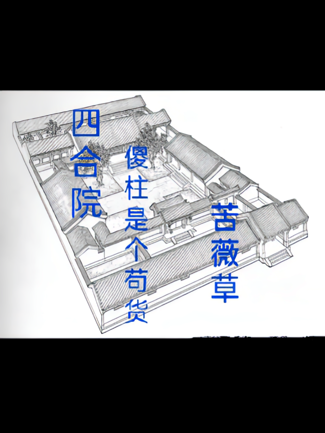 四合院：傻柱是个苟货