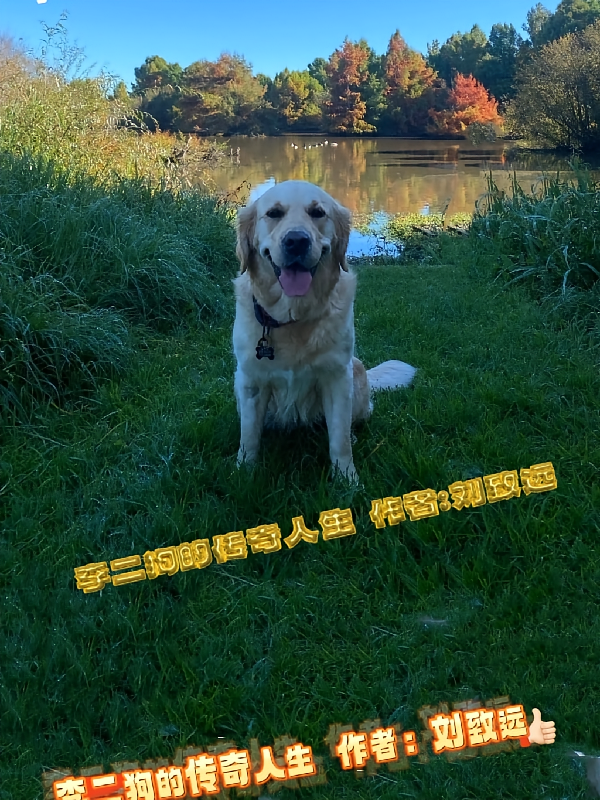 李二狗的传奇人生