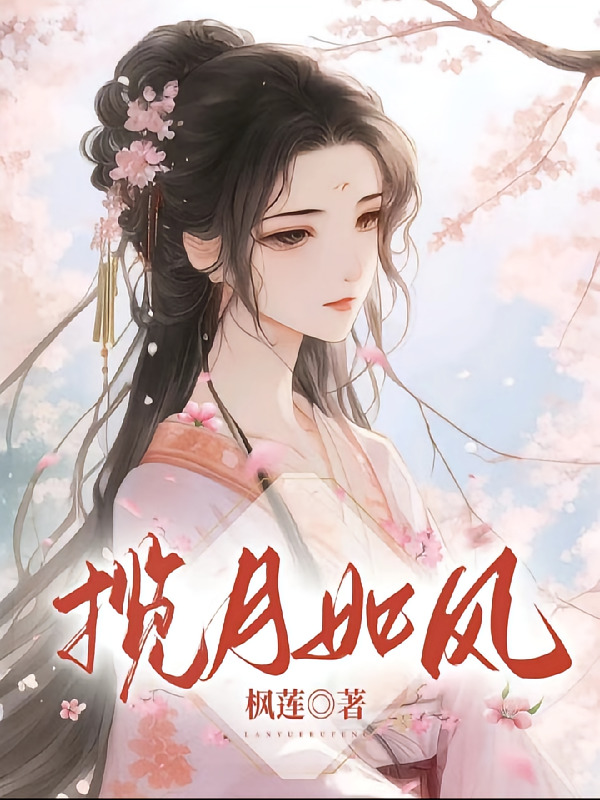 揽月如风