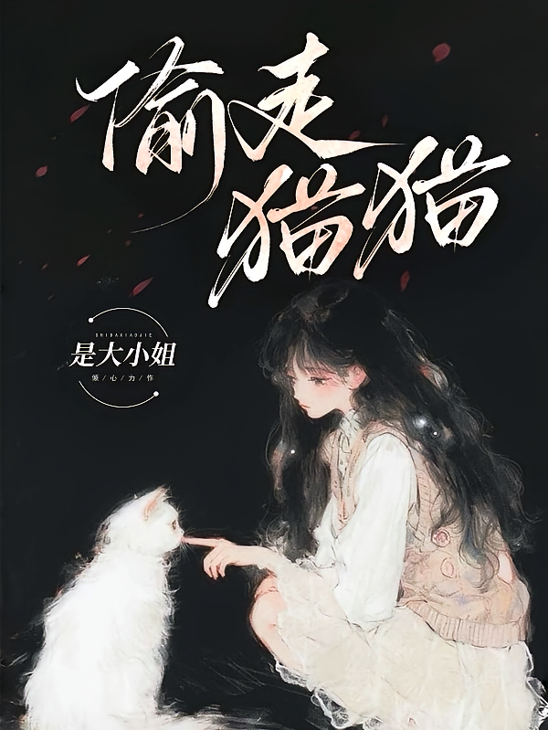 偷走猫猫
