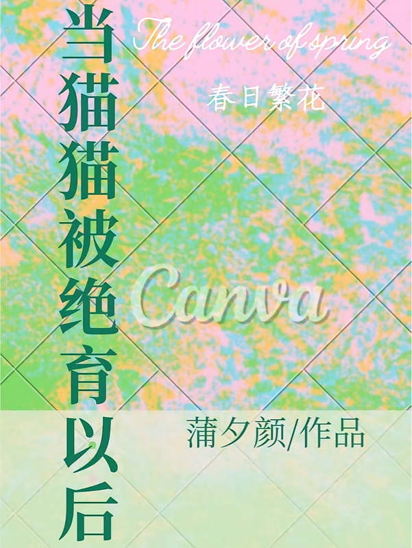当猫猫被绝育以后