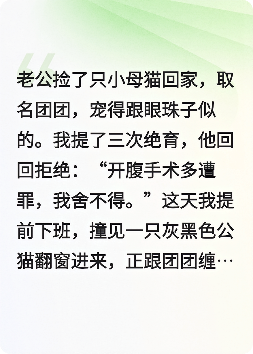 她和他的猫