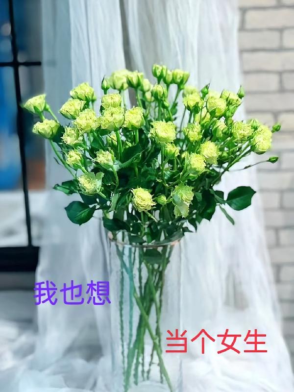 我也想当个女生