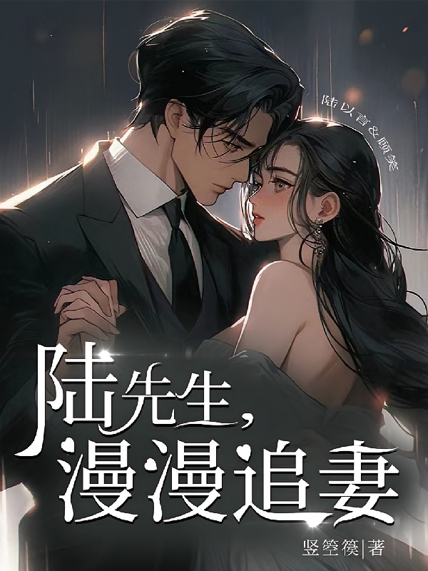 陆先生，漫漫追妻