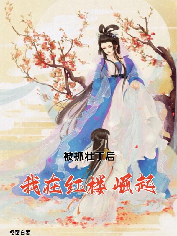 被抓壮丁后，我在红楼崛起