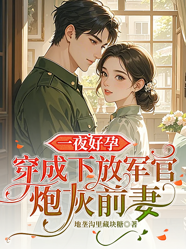一夜好孕：穿成下放军官炮灰前妻