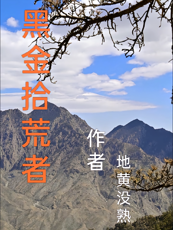 黑金拾荒者