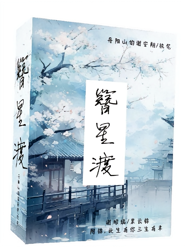 簪星渡