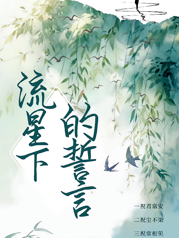 流星下的誓言