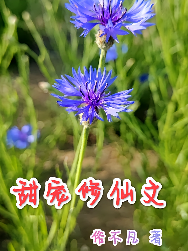 甜宠修仙文
