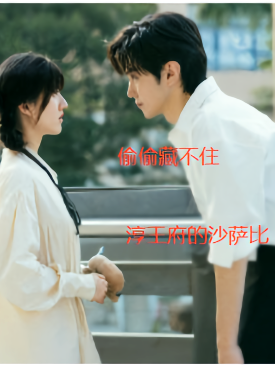 偷偷藏不住续写