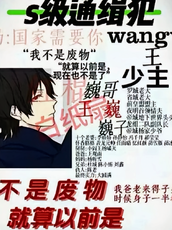 王巍，回归