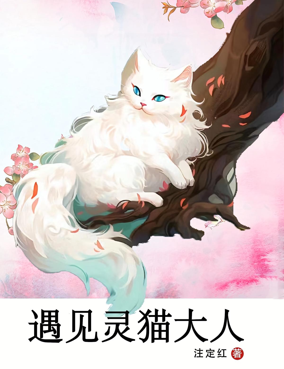 遇见灵猫大人