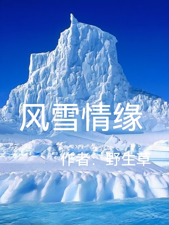 风雪情缘
