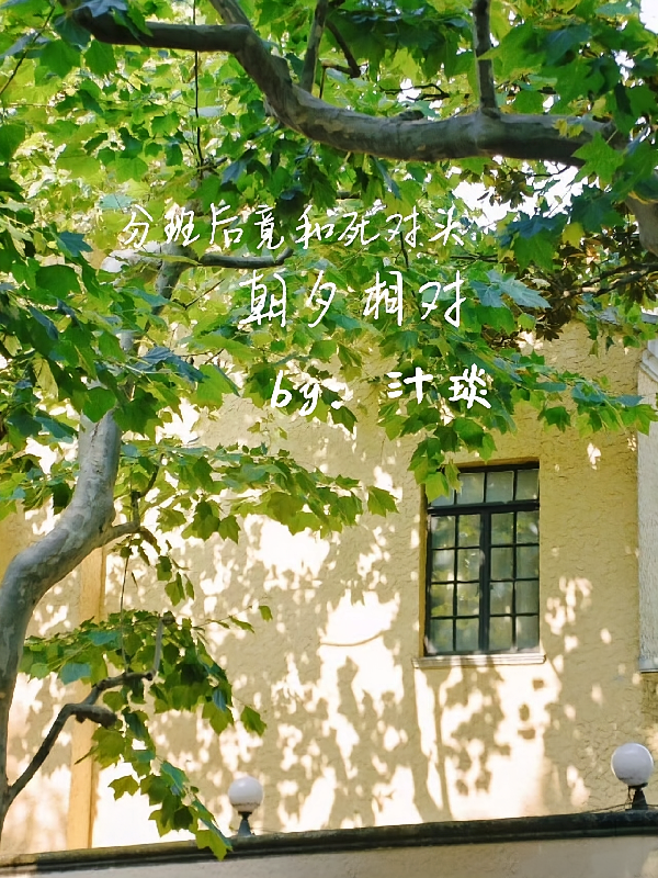 分班后竟和死对头朝夕相对