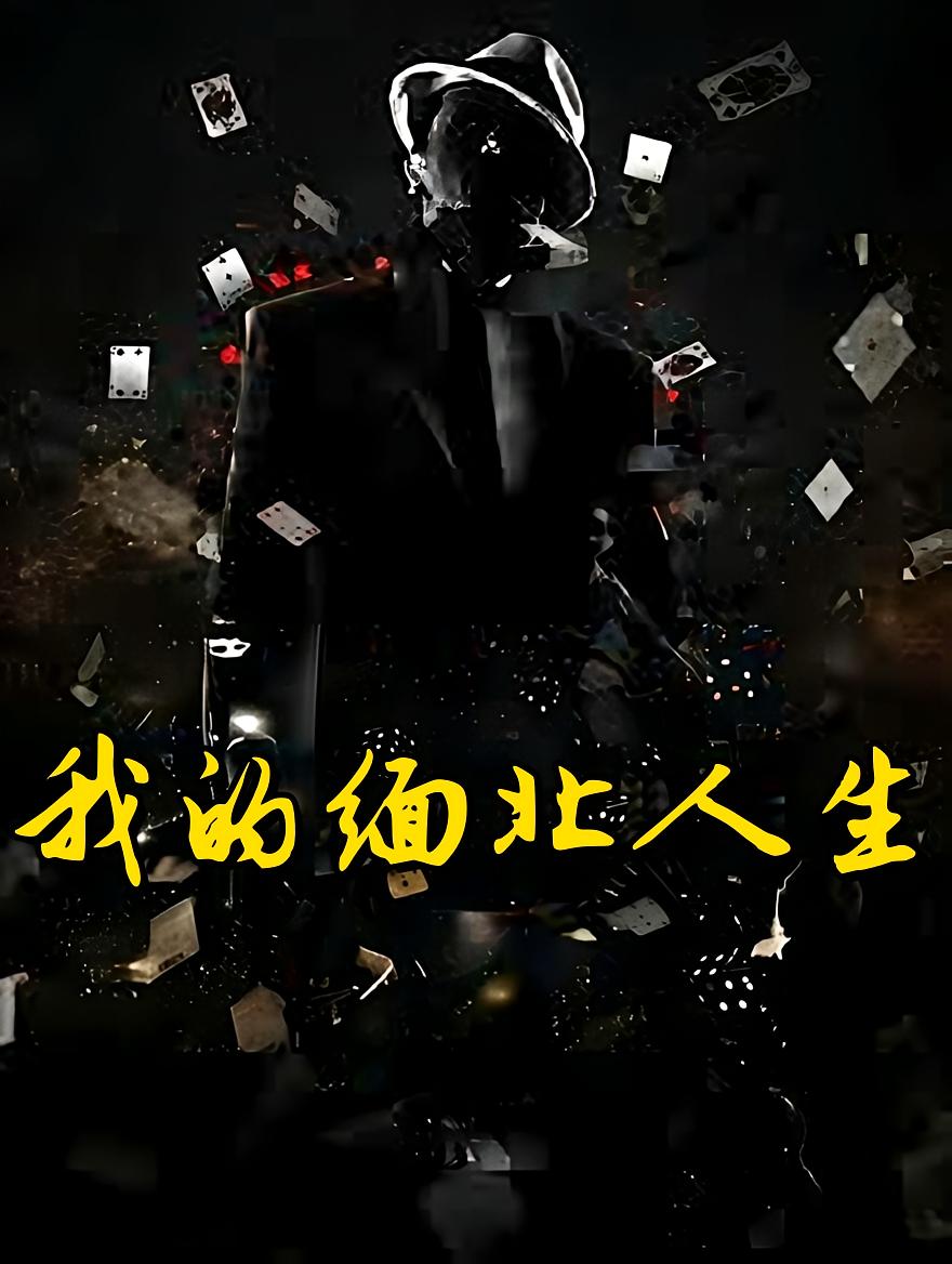 我的缅北人生