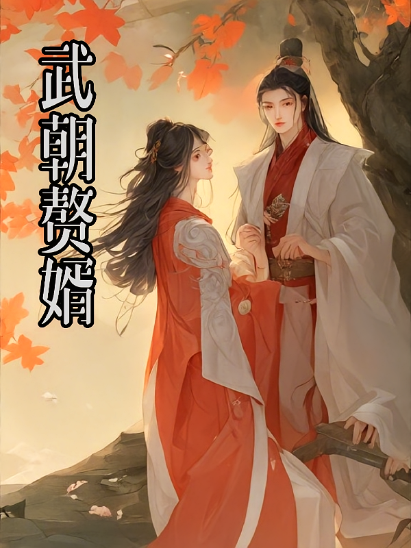 武朝赘婿