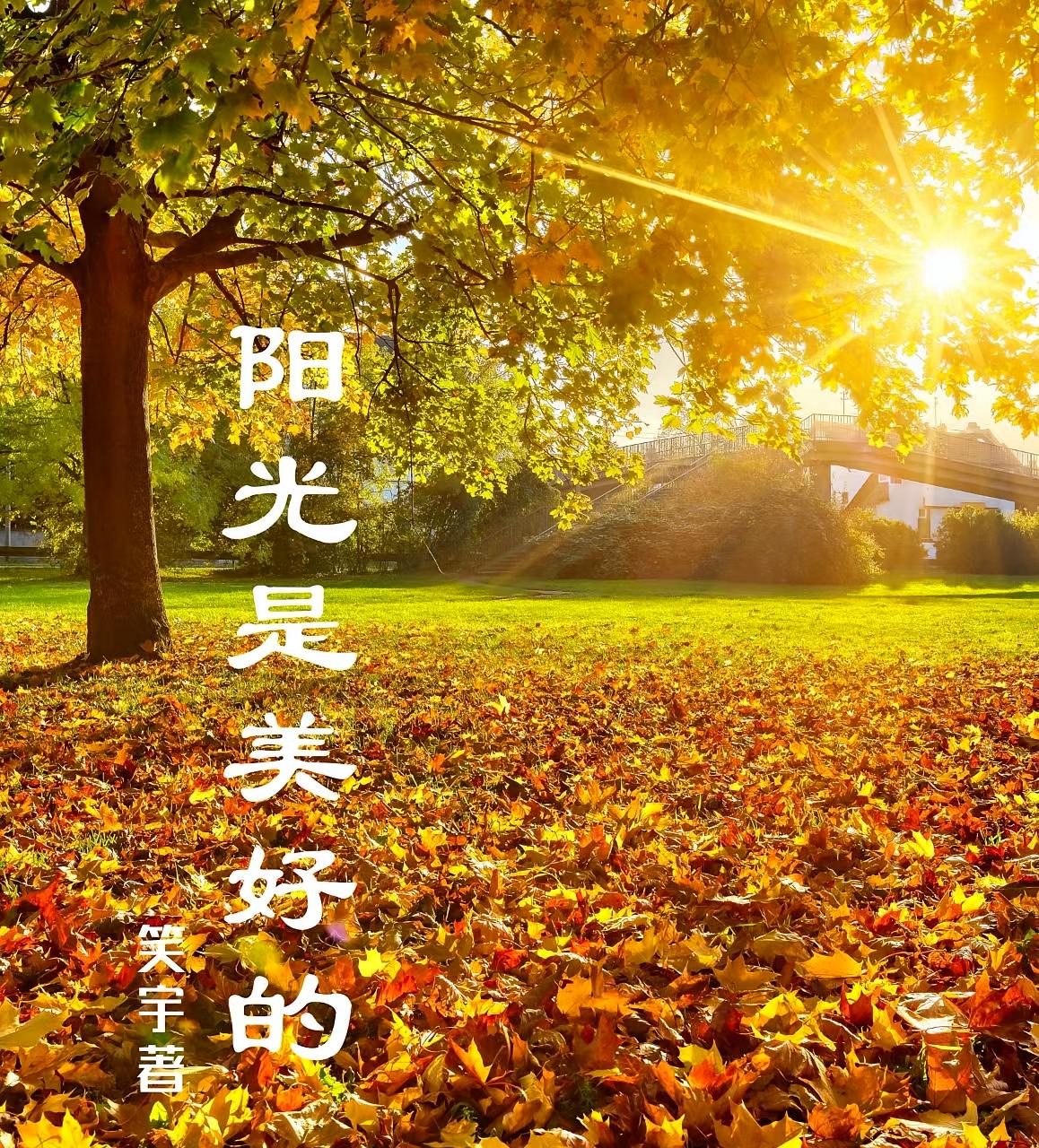 用户2313011127的新书