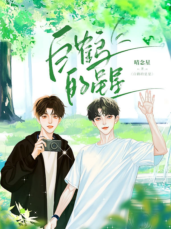 白鹤的星星