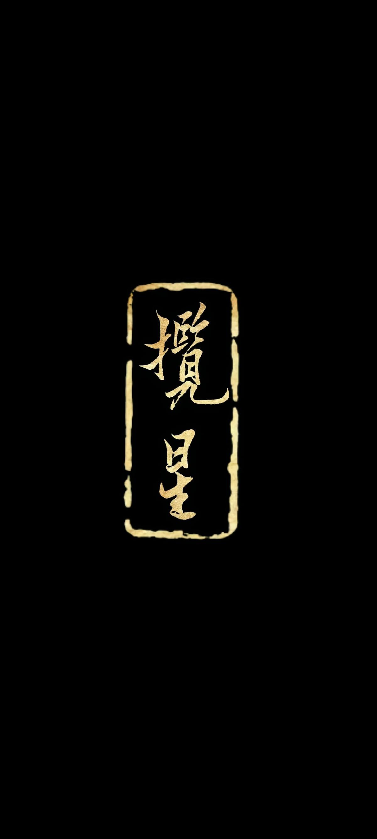 揽星江湖录