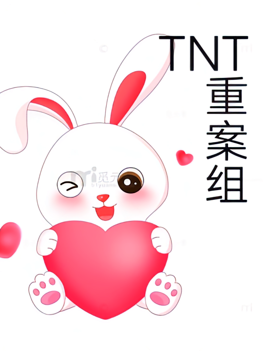TNT重案组