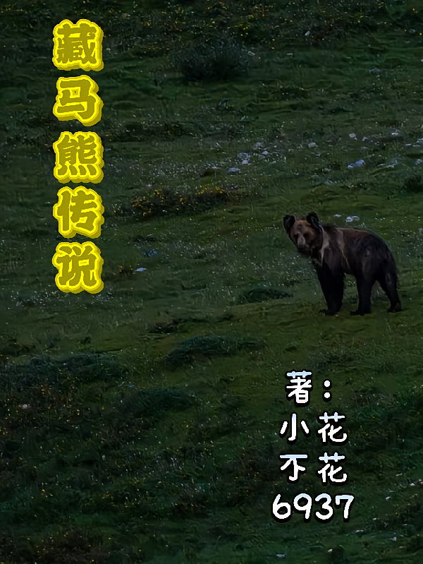 藏马熊传说